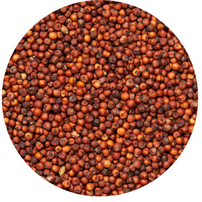 Troovy Ragi Chips | No Palm Oil
